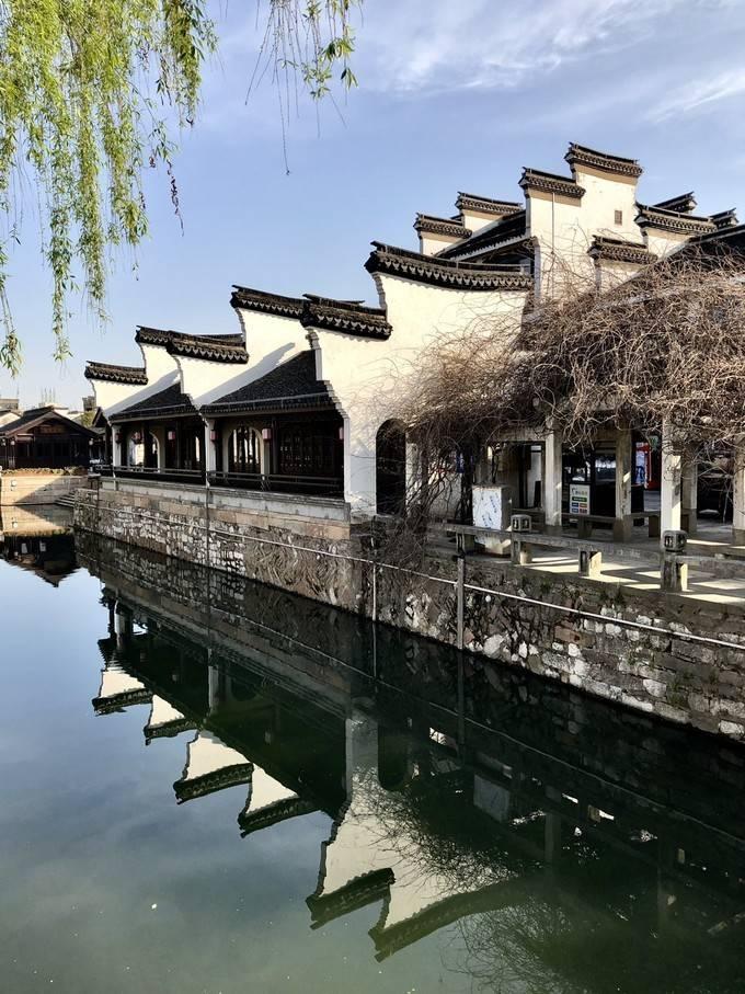 你吃对了吗？眼球震颤患者必备的食物！